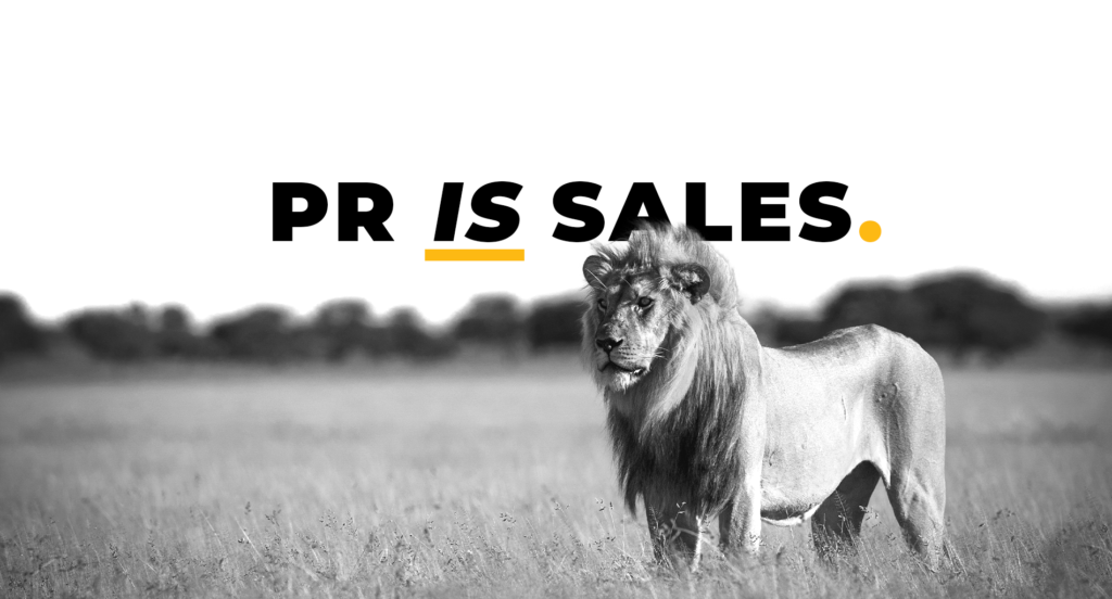 Lion assuring that everything runs smoothly in the wild